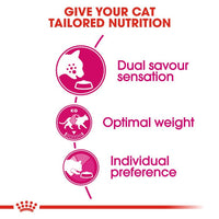 Feline Health Nutrition Exigent Savour 2 KG