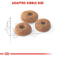 Thumbnail for Feline Health Nutrition Fit 32 - 10 KG