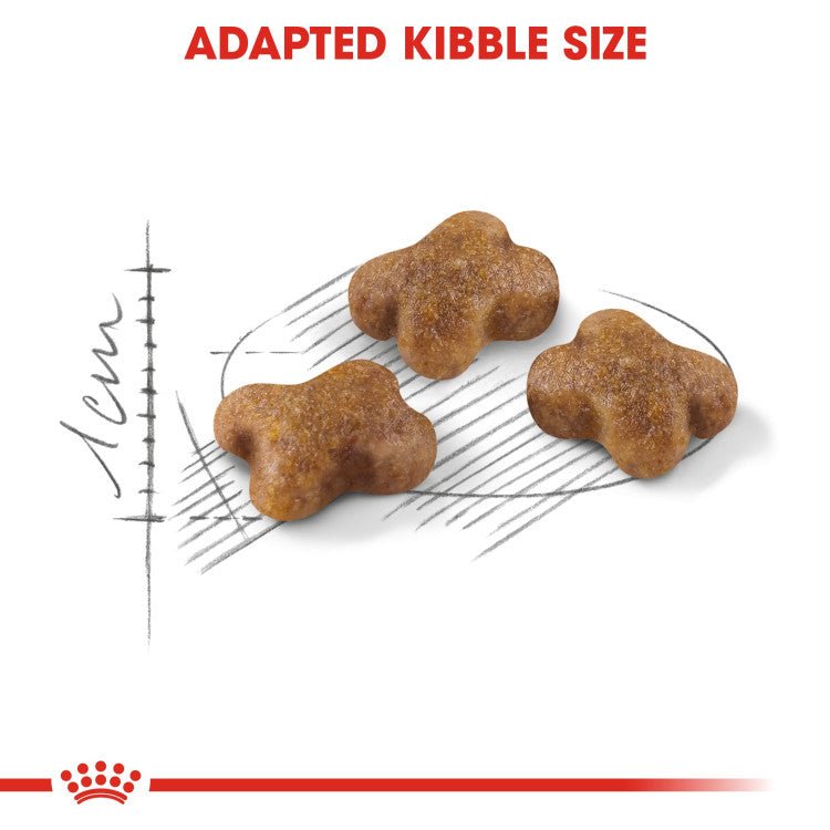 Feline Health Nutrition Kitten 2 KG
