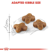 Feline Health Nutrition Kitten 2 KG