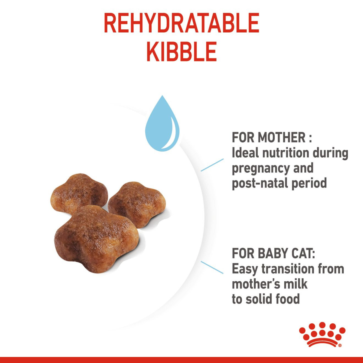 Feline Health Nutrition Mother & Babycat 10 KG