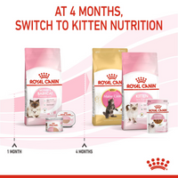 Thumbnail for Feline Health Nutrition Mother & Babycat 10 KG