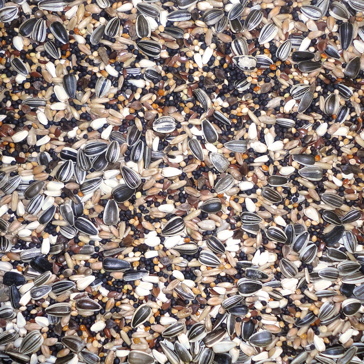 Finch Budget Mix 20 KG