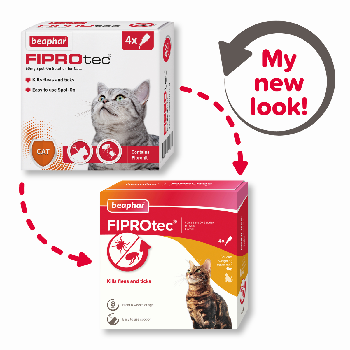 FIPROTEC FOR CAT - 4 PIPETTES 50mg