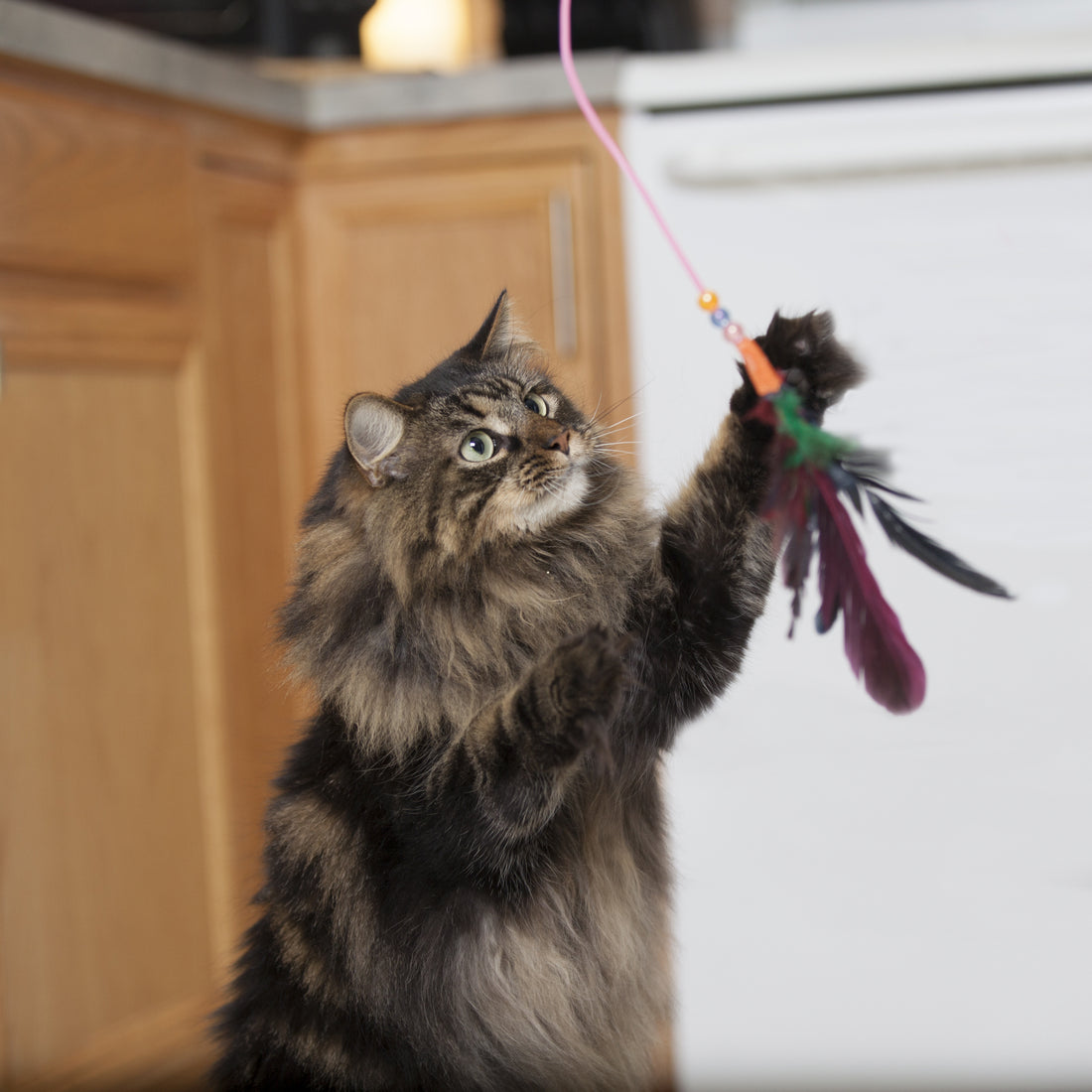 Bergan 18″ Fishing Pole Cat Toy