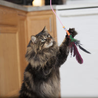 Thumbnail for Bergan 18″ Fishing Pole Cat Toy