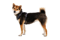 Thumbnail for Ruffwear Front Range Padded Dog Harness - Basalt Gray Large/X-Large