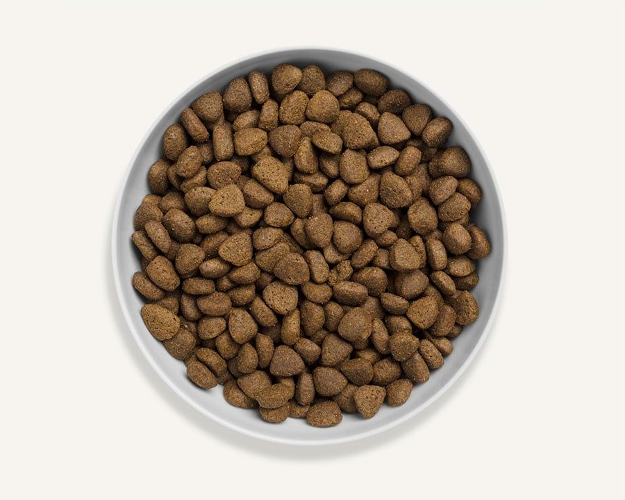 Canagan Free Range Chicken Dry Dog Food - 12kg