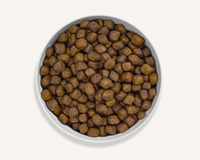 Canagan Dental Free Run Turkey Dry Dog Food - 2KG