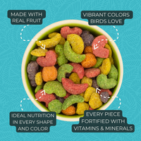 Thumbnail for FruitBlend Flavor Medium & Large Parrot Food 10 lbs (4.54 kg)