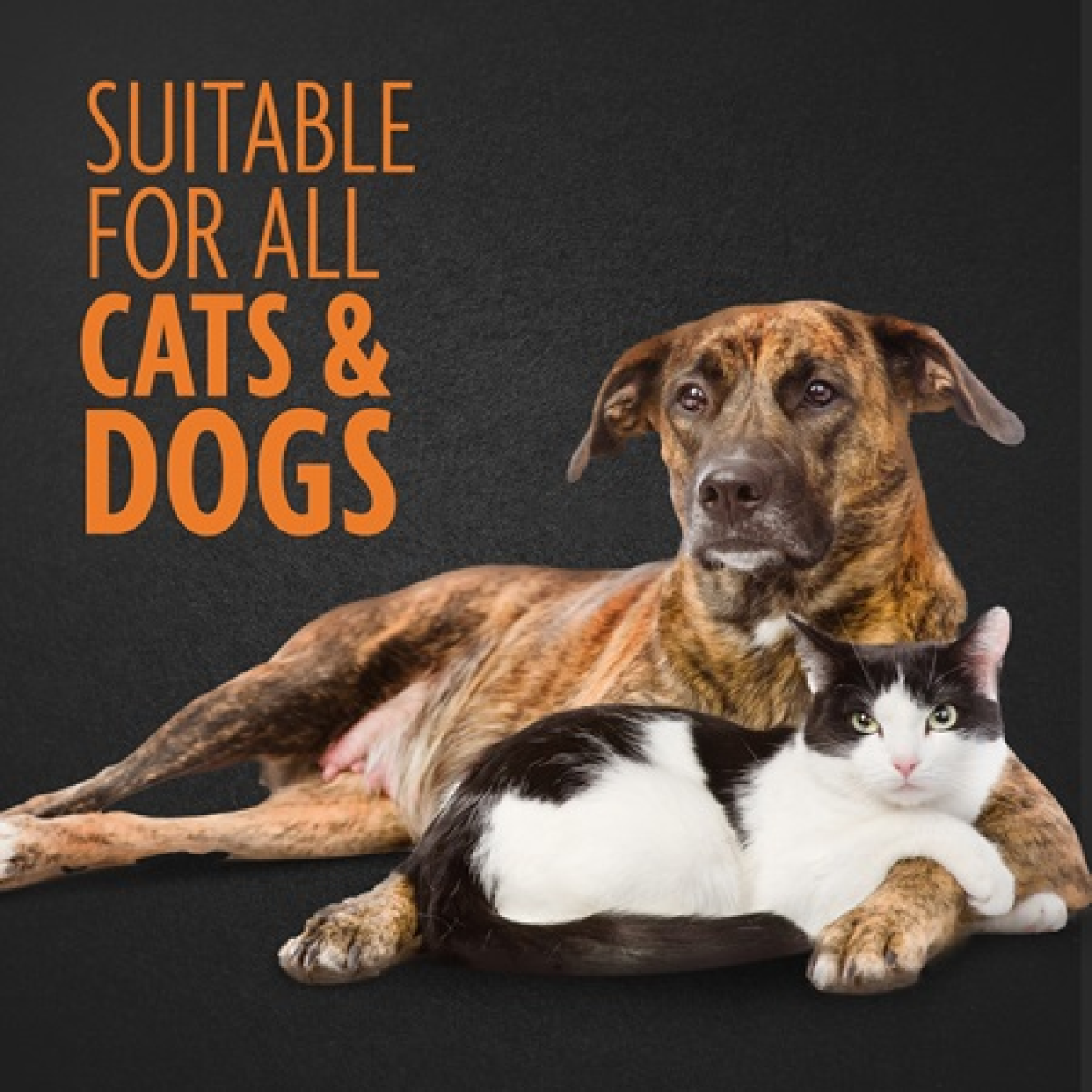 FURminator Curry Comb for Dogs & Cats