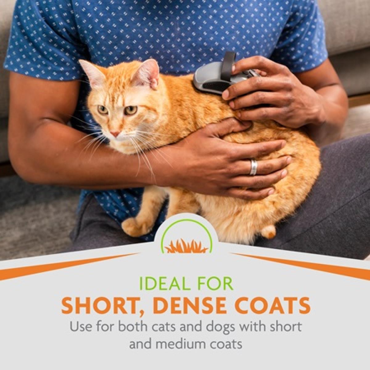 FURminator Curry Comb for Dogs & Cats