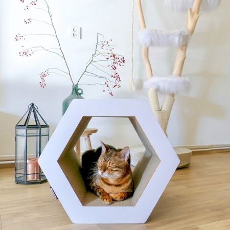 District 70 Hexa Cardboard Cat Scratcher -