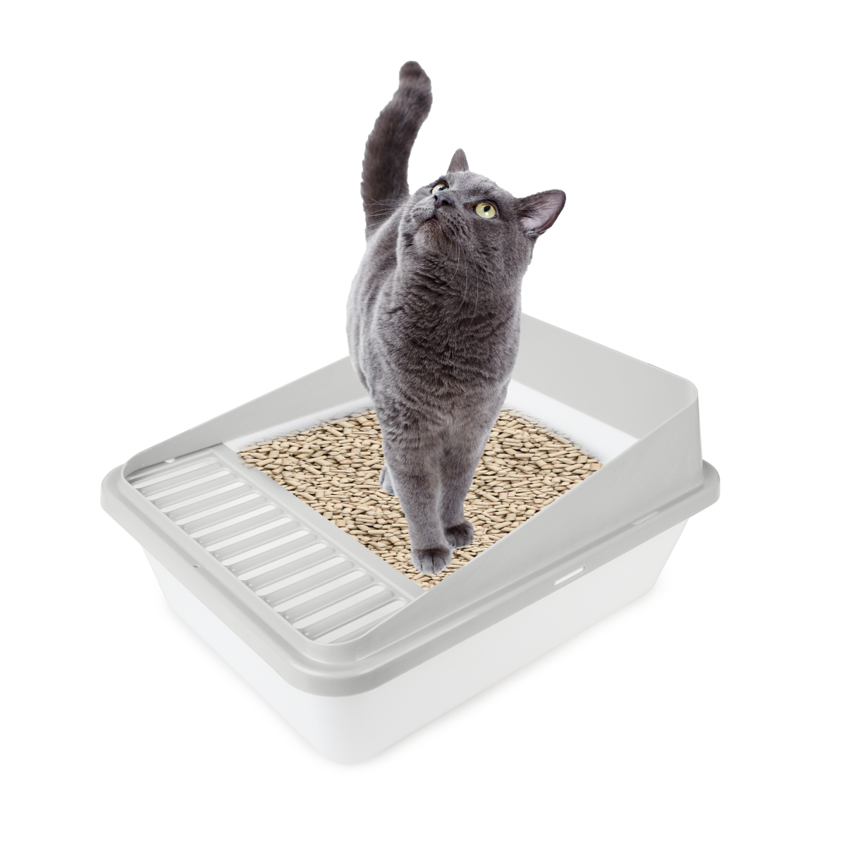 Go Fresh - High Back Cat Litter Box Small - Sand