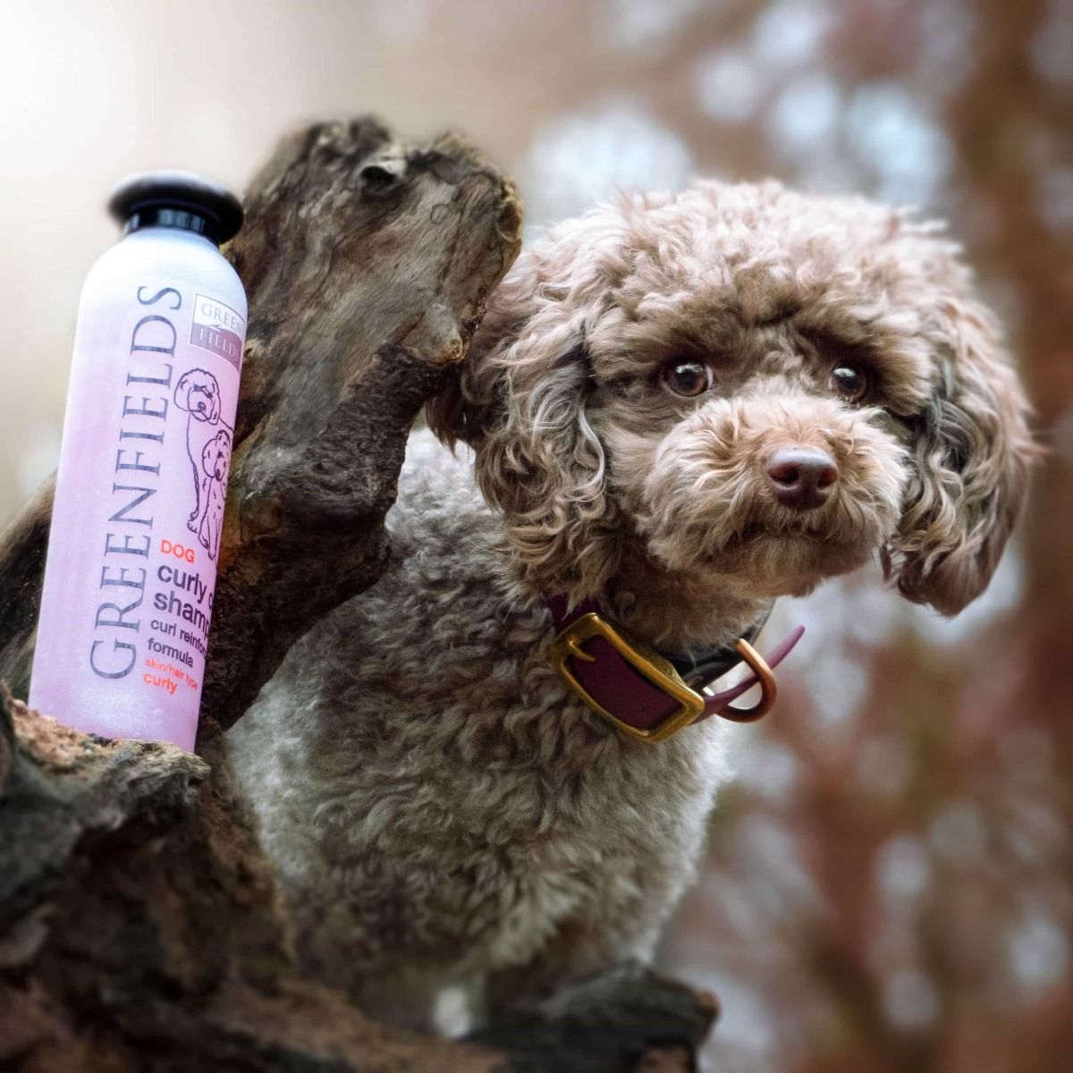 Greenfields Curly Coat Dog Shampoo 250ml - 250ml