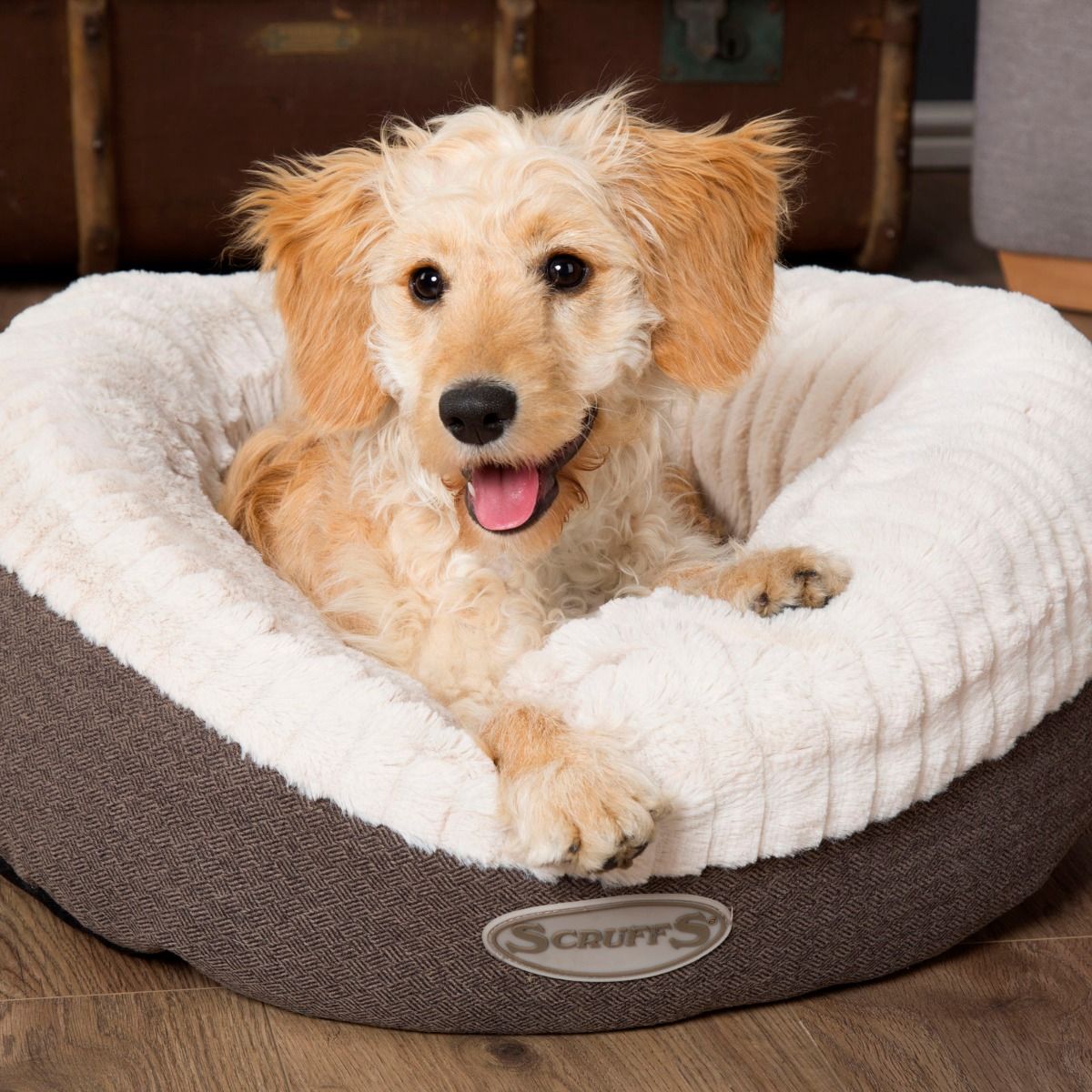 Scruffs Ellen Donut Dog Bed - Grey Medium