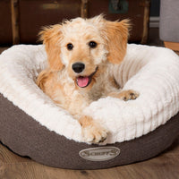 Thumbnail for Scruffs Ellen Donut Dog Bed - Pink Medium