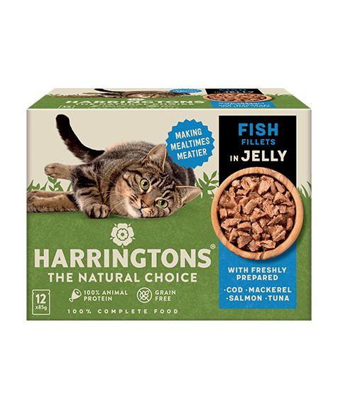 Harringtons Fish in Jelly Wet Cat Food Multipack  -