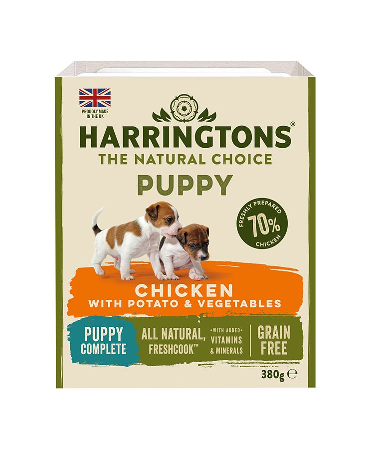 Harringtons Chicken & Potato Grain Free Wet Puppy Food 380g - 380G