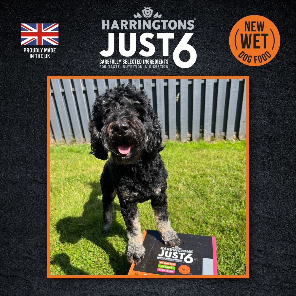 Harringtons Just 6 Chicken Grain Free Adult Wet Dog Food 380g - 380G