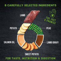 Thumbnail for Harringtons Just 6 Lamb Grain Free Adult Dry Dog Food - 12KG
