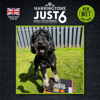 Thumbnail for Harringtons Just 6 Lamb Grain Free Adult Wet Dog Food 380g - 380G
