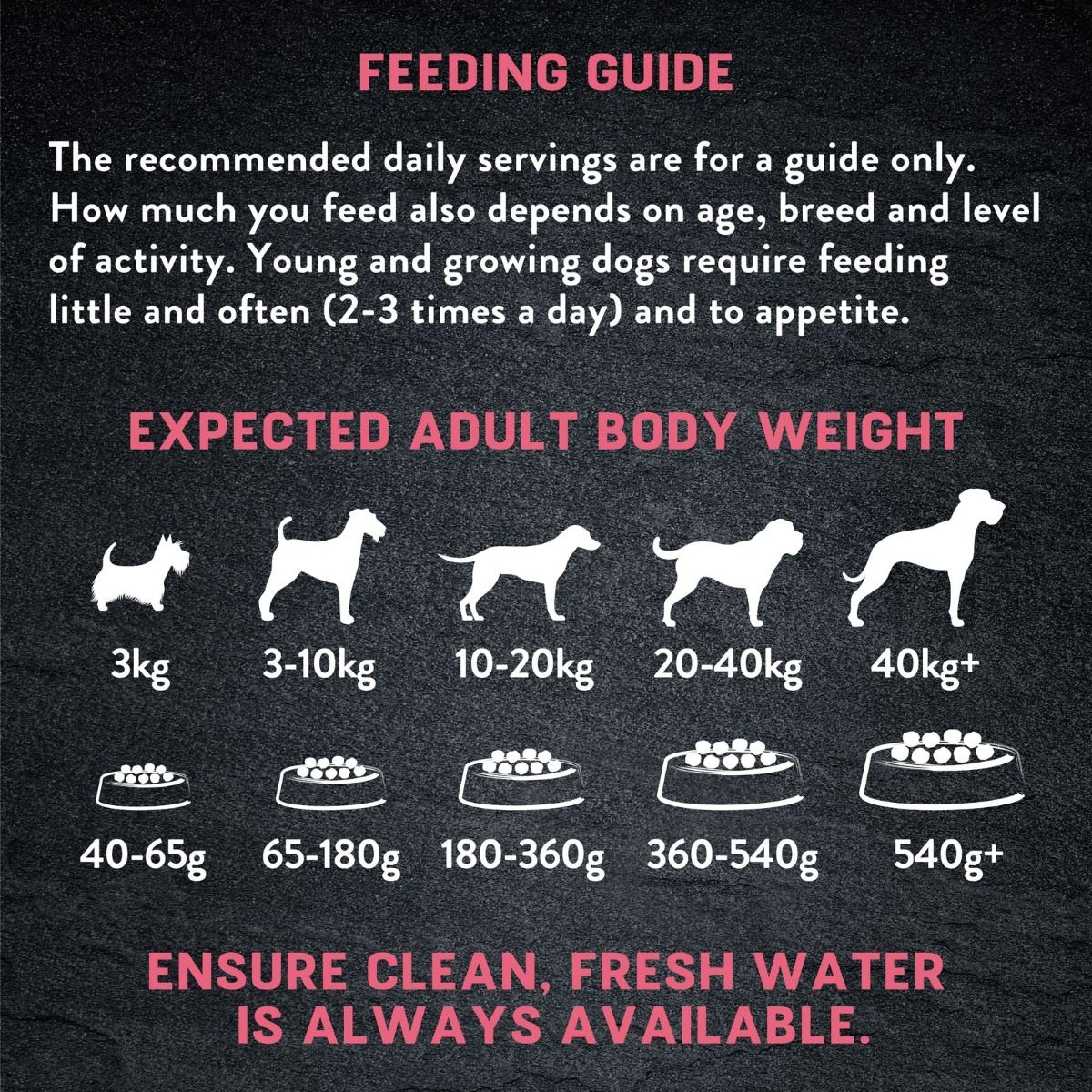 Harringtons Just 6 Salmon Grain Free Adult Dry Dog Food - 12KG
