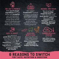 Thumbnail for Harringtons Just 6 Salmon Grain Free Adult Dry Dog Food - 6kg