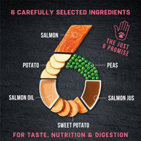 Thumbnail for Harringtons Just 6 Salmon Grain Free Adult Wet Dog Food 380g - 380G