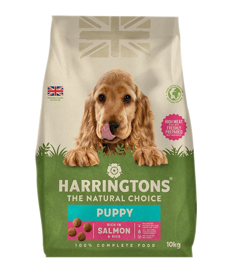 Harringtons Complete Salmon & Rice Dry Puppy Food 10kg - 10kg