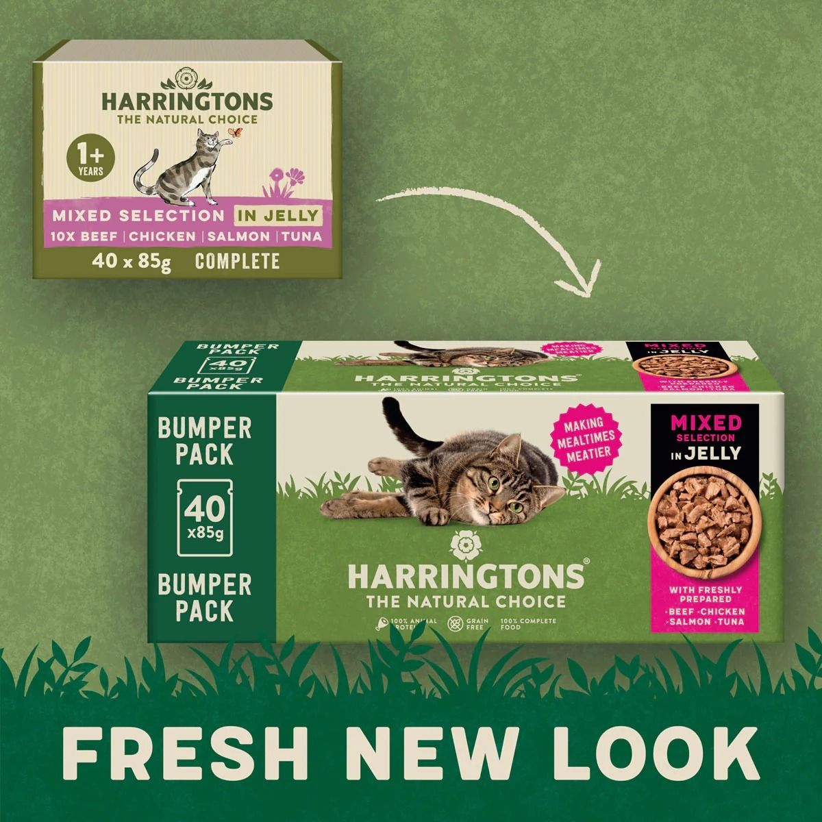 Harringtons Mixed Selection in Jelly Adult Wet Cat Food 40 x 85g Pouch