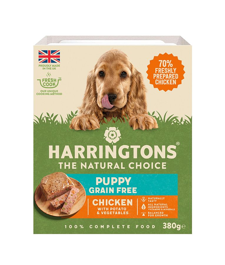 Harringtons Chicken & Potato Grain Free Wet Puppy Food 380g - 380G