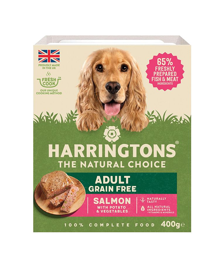 Harringtons Salmon Grain Free Adult Wet Dog Food 400g - 400G