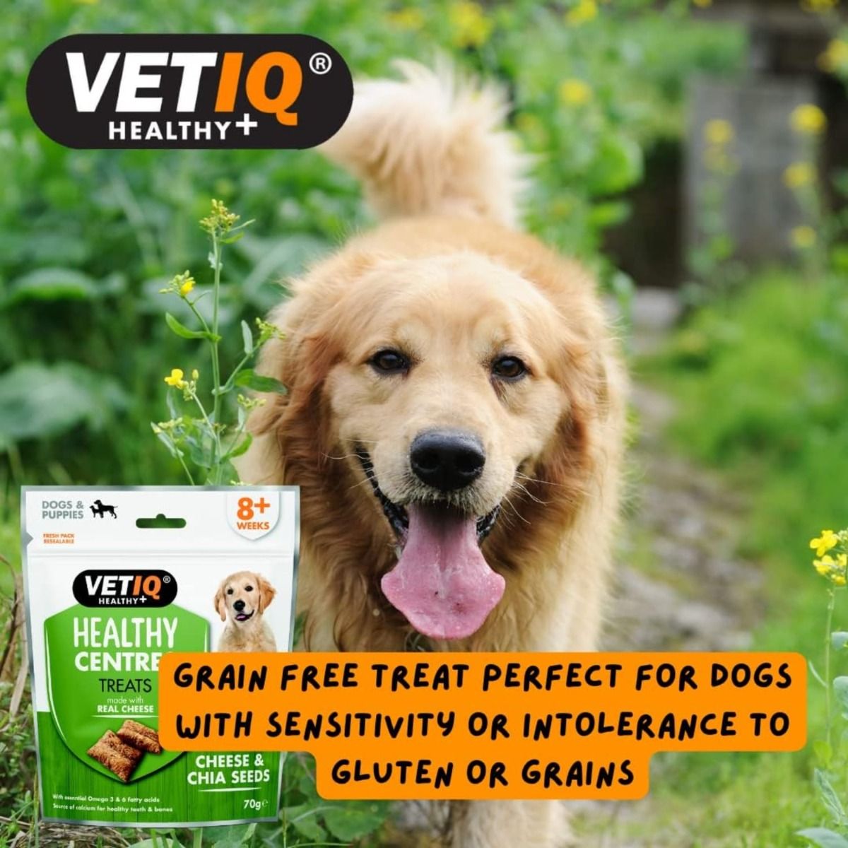 VetIQ Healthy Centres Cheese & Chia Seeds Dog Treats 70g - 70g