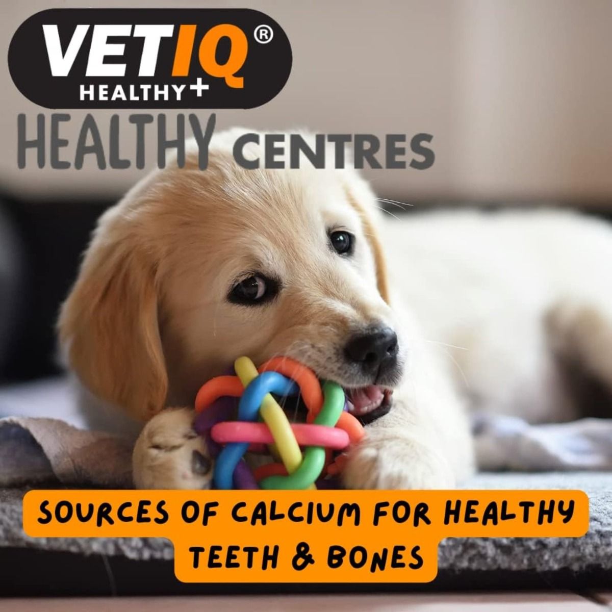 VetIQ Healthy Centres Cheese & Chia Seeds Dog Treats 70g - 70g