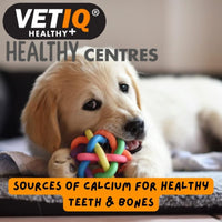 Thumbnail for VetIQ Healthy Centres Cheese & Chia Seeds Dog Treats 70g - 70g