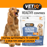 Thumbnail for VetIQ Healthy Centres Duck & Blueberry Dog Treats - 70g