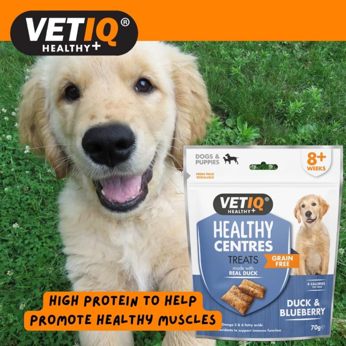 VetIQ Healthy Centres Duck & Blueberry Dog Treats - 70g