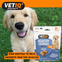 Thumbnail for VetIQ Healthy Centres Duck & Blueberry Dog Treats - 70g