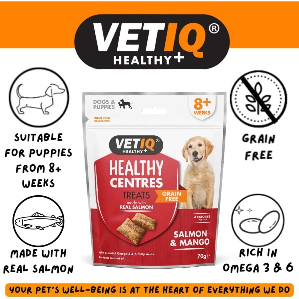 VetIQ Healthy Centres Salmon & Mango Dog Treats 70g - 70g