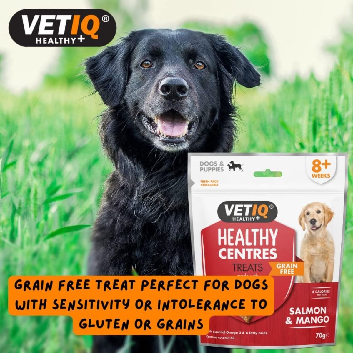 VetIQ Healthy Centres Salmon & Mango Dog Treats 70g - 70g