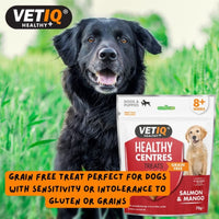 Thumbnail for VetIQ Healthy Centres Salmon & Mango Dog Treats 70g - 70g