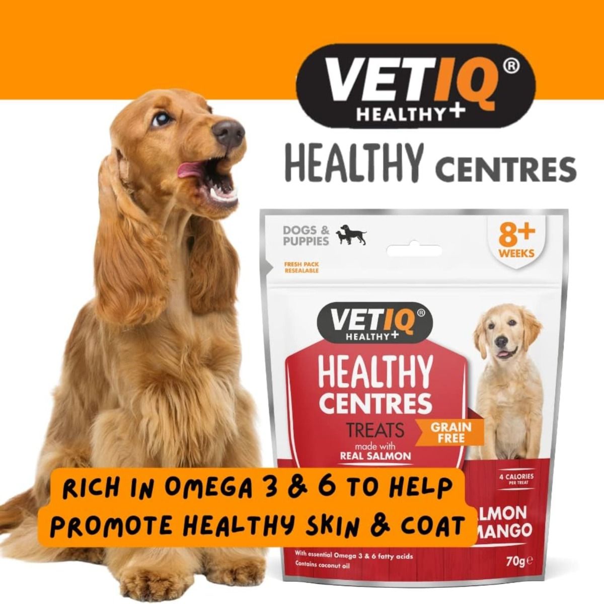 VetIQ Healthy Centres Salmon & Mango Dog Treats 70g - 70g