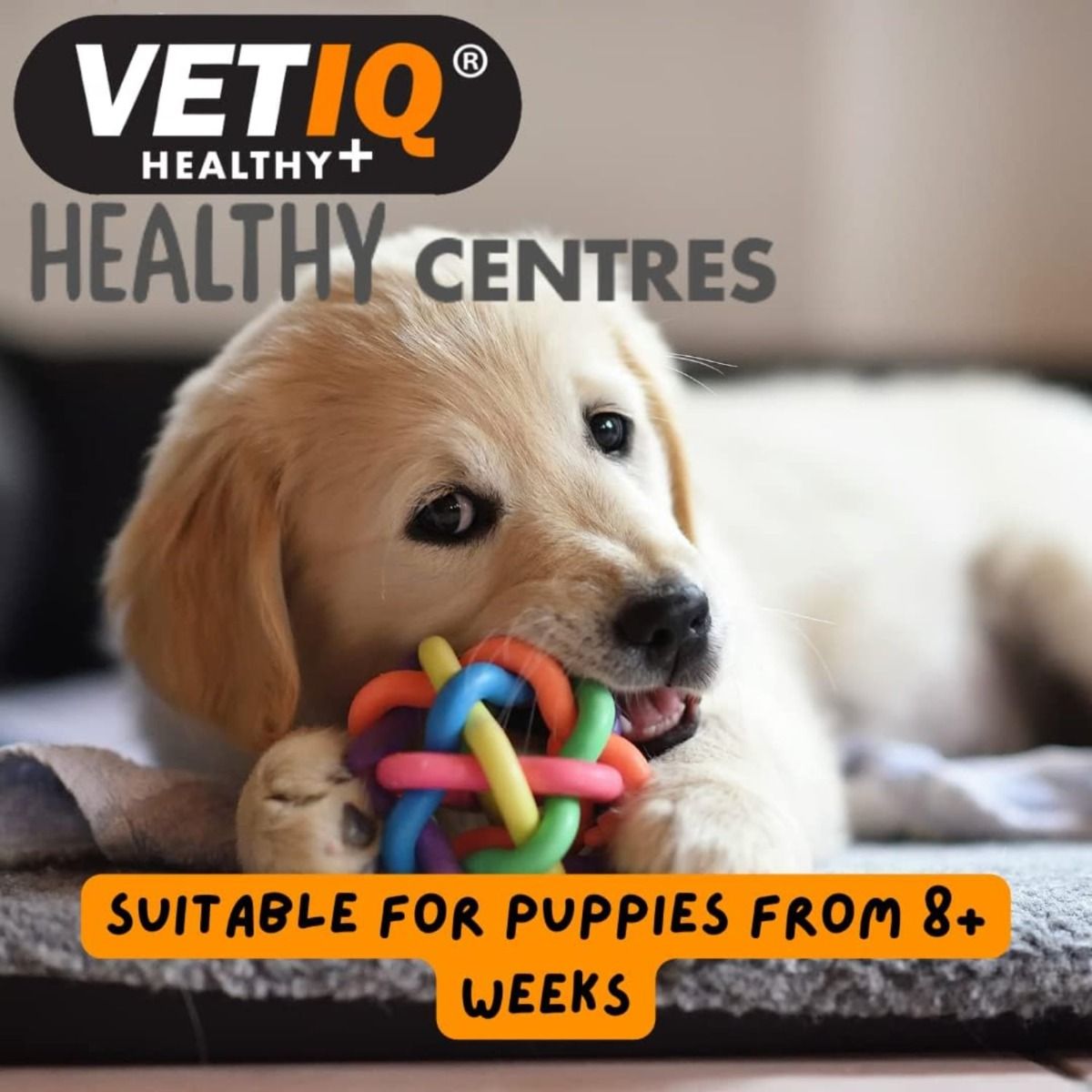 VetIQ Healthy Centres Salmon & Mango Dog Treats 70g - 70g