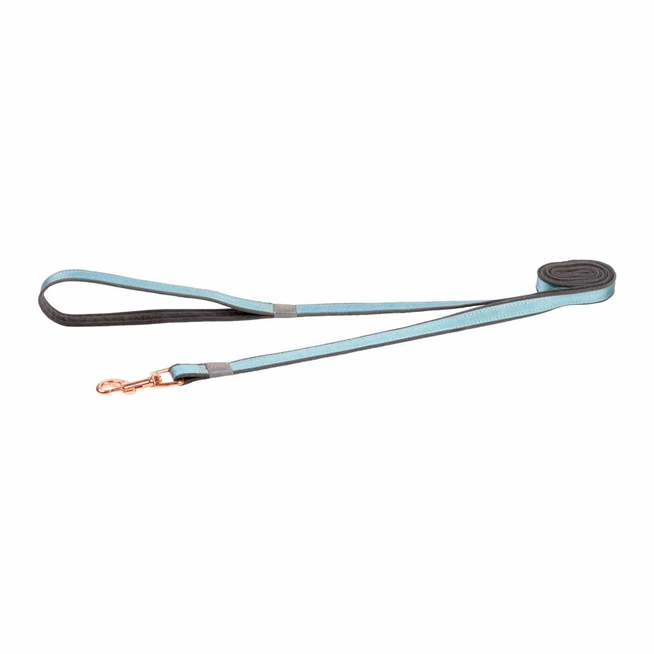 Rogz Urban Classic Dog Leash - Turquoise Medium