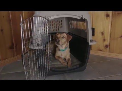 Petmate Sky Kennel Dog Crate - INTER