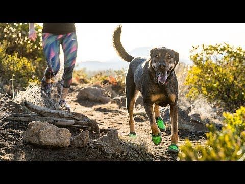 Ruffwear Summit Trex Two Pairs Dog Boots - Grey 1.75"