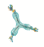 Thumbnail for Hunter Chewing Boomerang Dog Toy - BLUE
