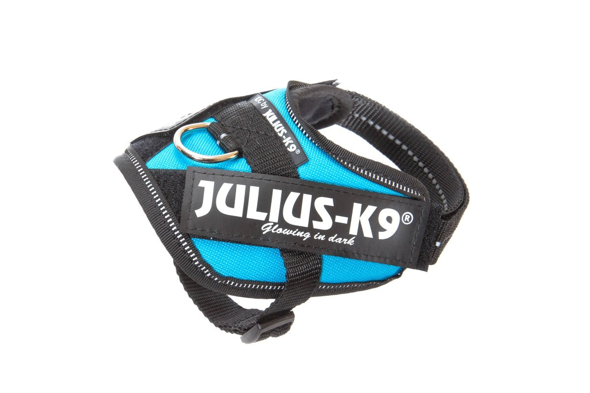 IDC Powerharness - Aquamarine / Size Baby 2