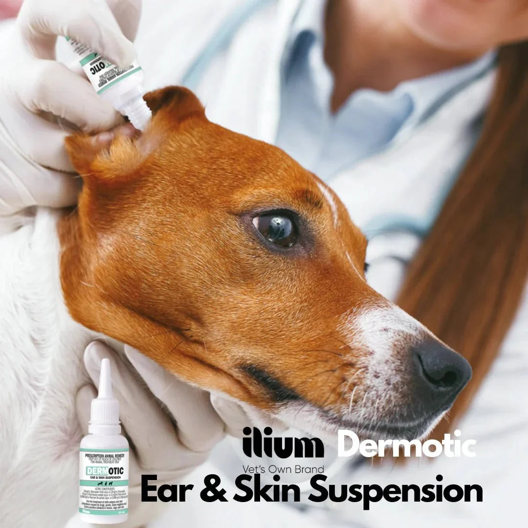 ilium Dermotic Ear & Skin Suspension 20ml